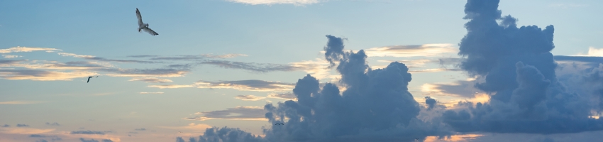 shutterstock_345931166 拷贝vv